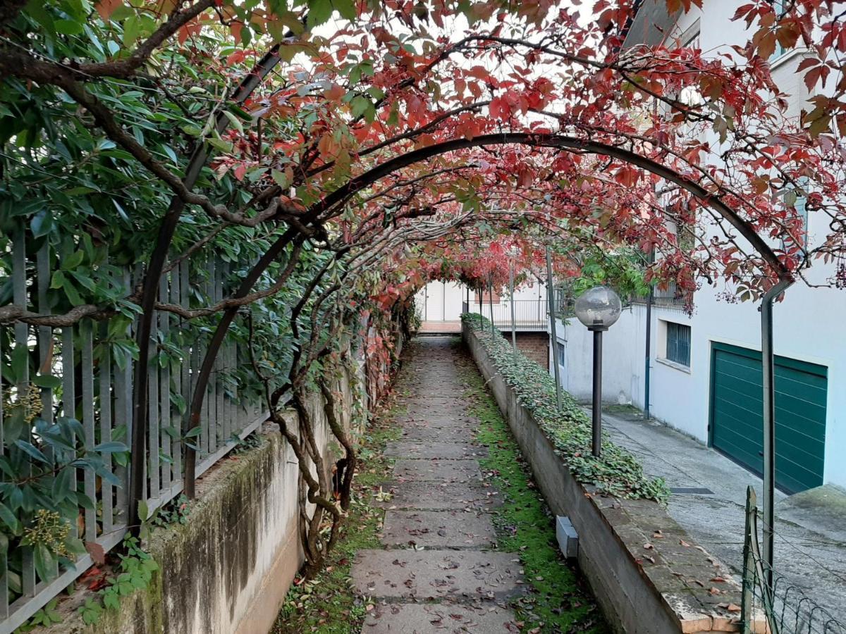 Appartamento Genziana - Con Vista Piscina E Garage 西尔米奥奈 外观 照片