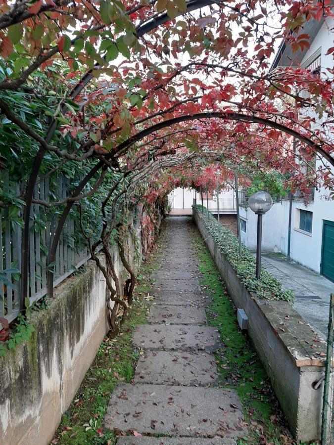 Appartamento Genziana - Con Vista Piscina E Garage 西尔米奥奈 外观 照片